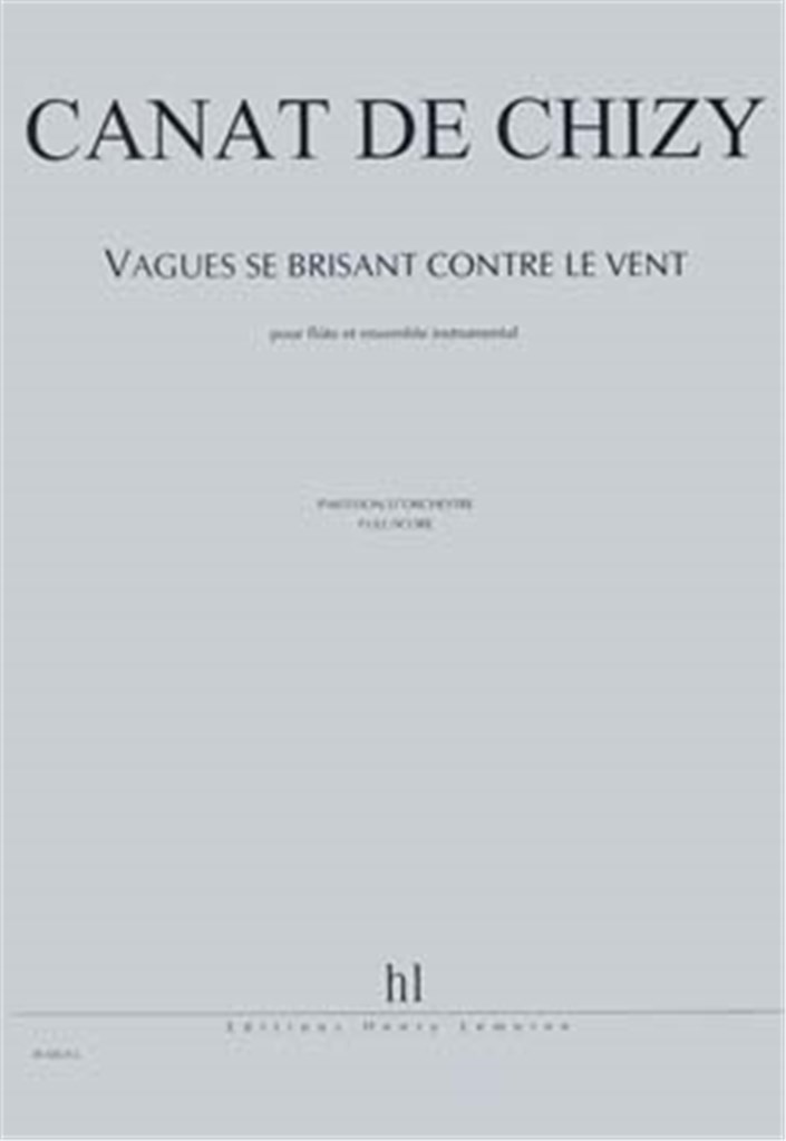 Vagues Se Brisant Contre Le Vent